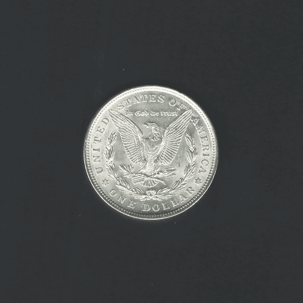 The coin you get will be similar to this coin | 1921 $1 Morgan Silver Dollar MS60 UNC