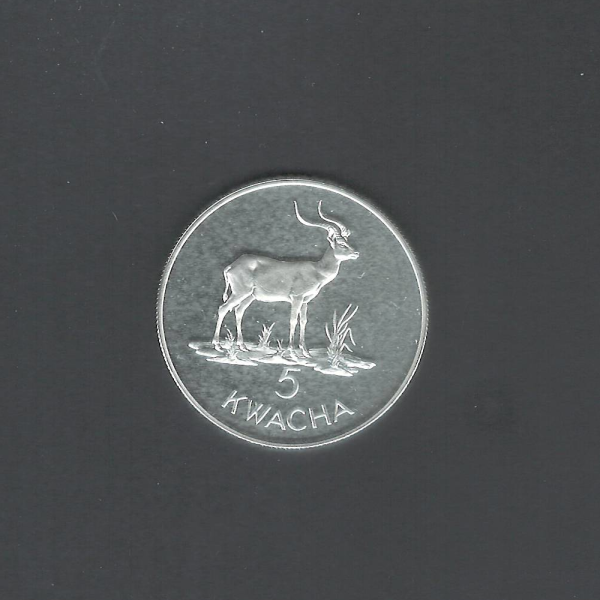 1979 Conservation of Wildlife 5 Kwacha Zambia African Longhorn Silver BU Proof Coin